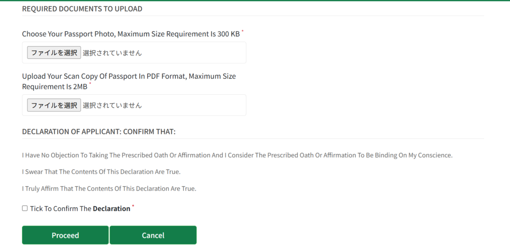 ナミビアビザ申請方法　ファイル