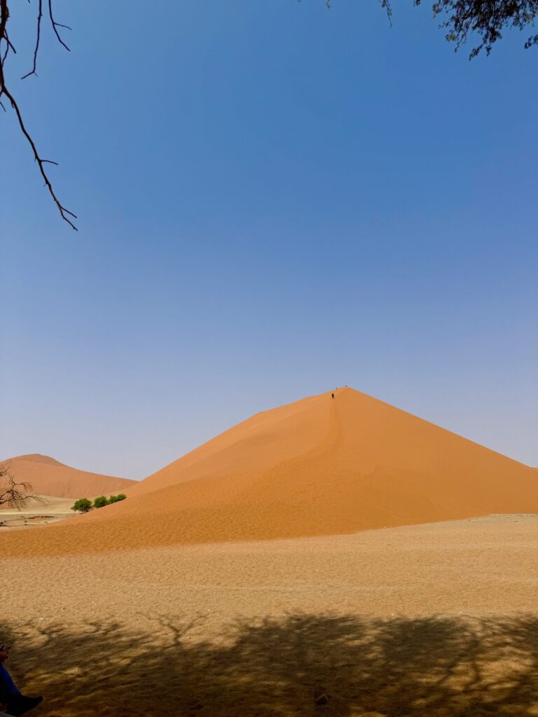 ナミビア　dune45
