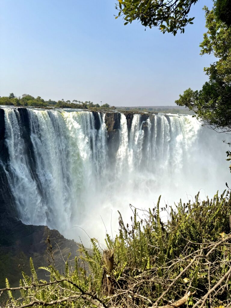 ジンバブエ側のヴィクトリアの滝