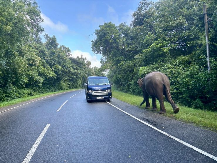 スリランカ旅行注意点
