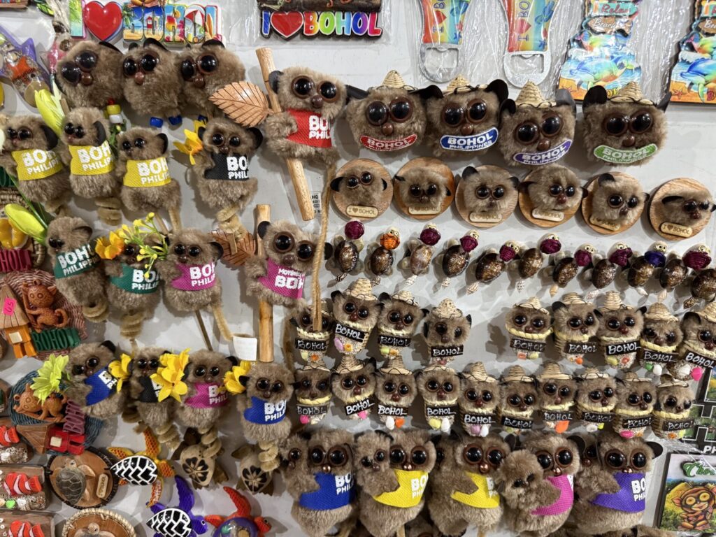 ボホール島観光