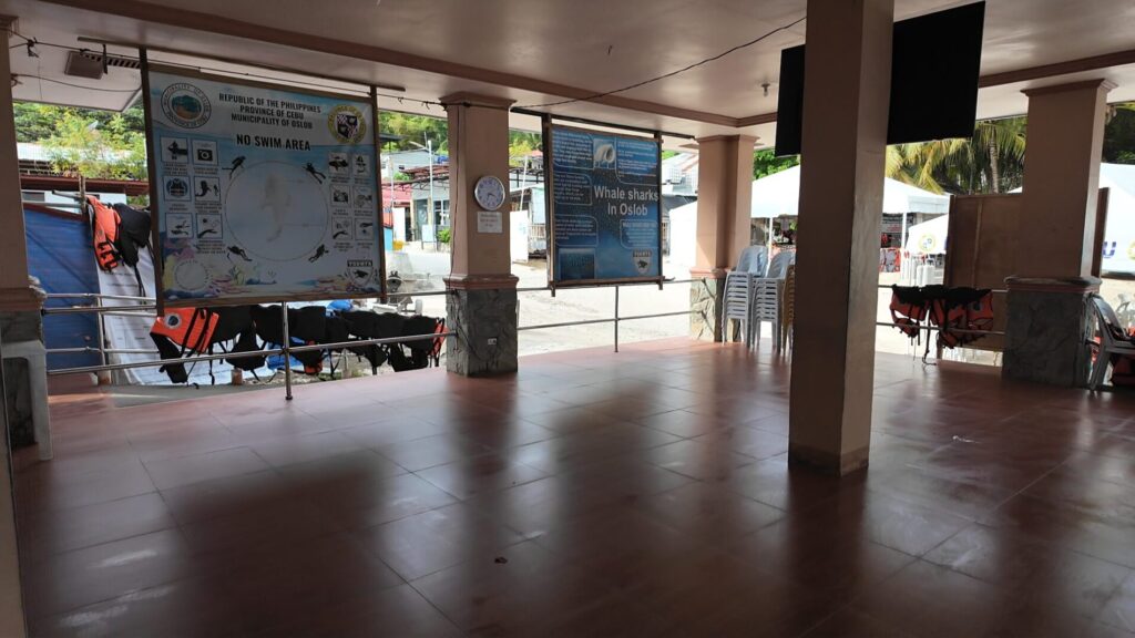 セブ ツアーなしでジンベイザメと泳ぐ方法