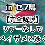 セブ ツアーなしでジンベイザメと泳ぐ方法