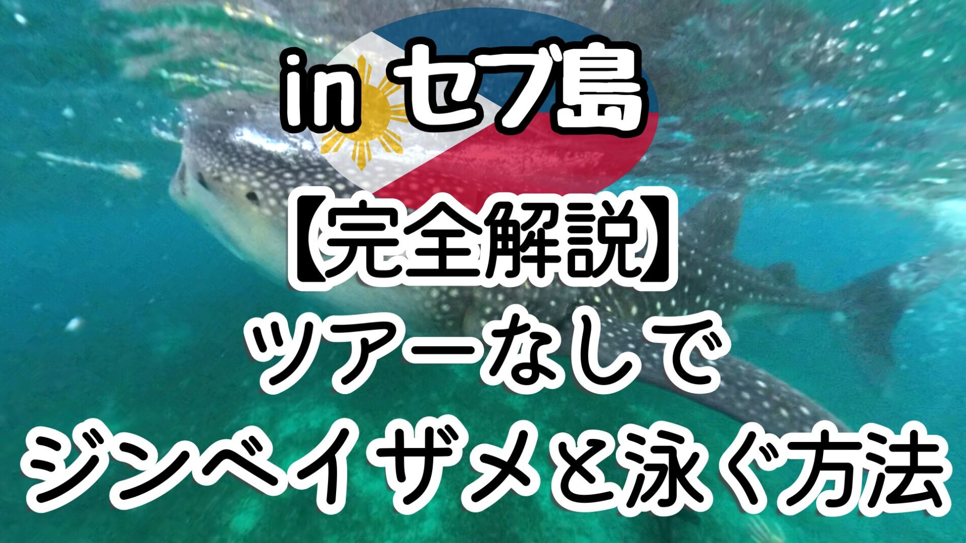 セブ ツアーなしでジンベイザメと泳ぐ方法