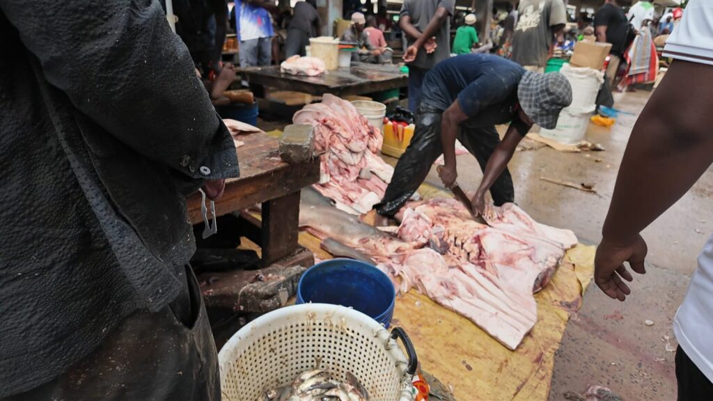 ダルエスサラームおすすめツアー観光 フィッシュマーケット