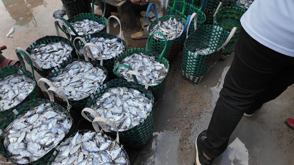 ダルエスサラームおすすめツアー観光 フィッシュマーケット