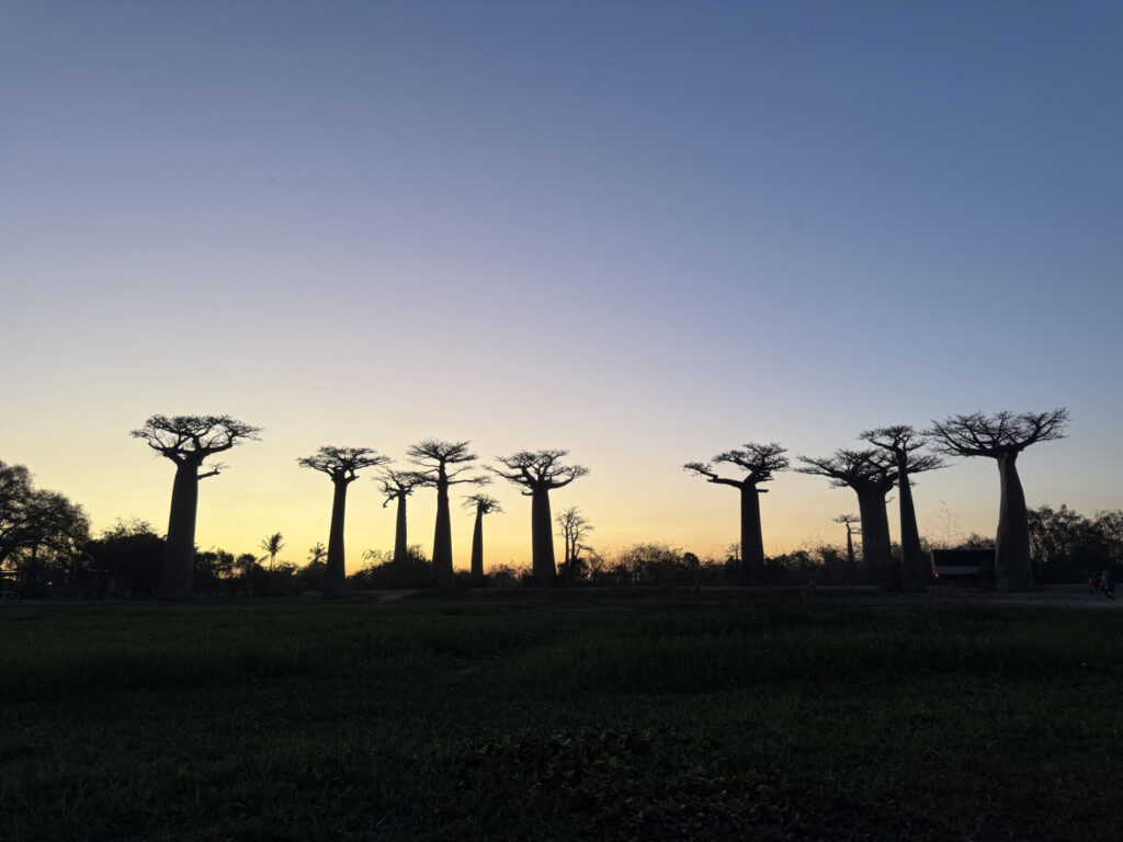 バオバブ街道 注意点、現地事情、行き方