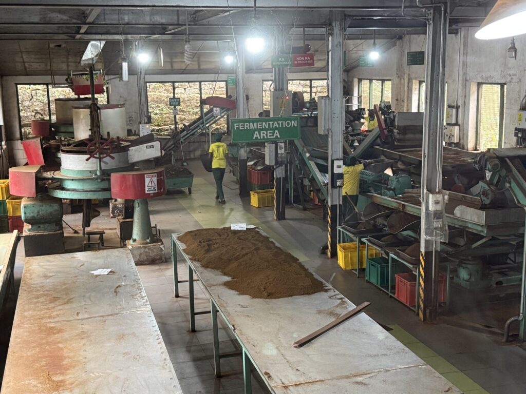 ヌワラエリヤ 紅茶工場見学おすすめ 口コミ