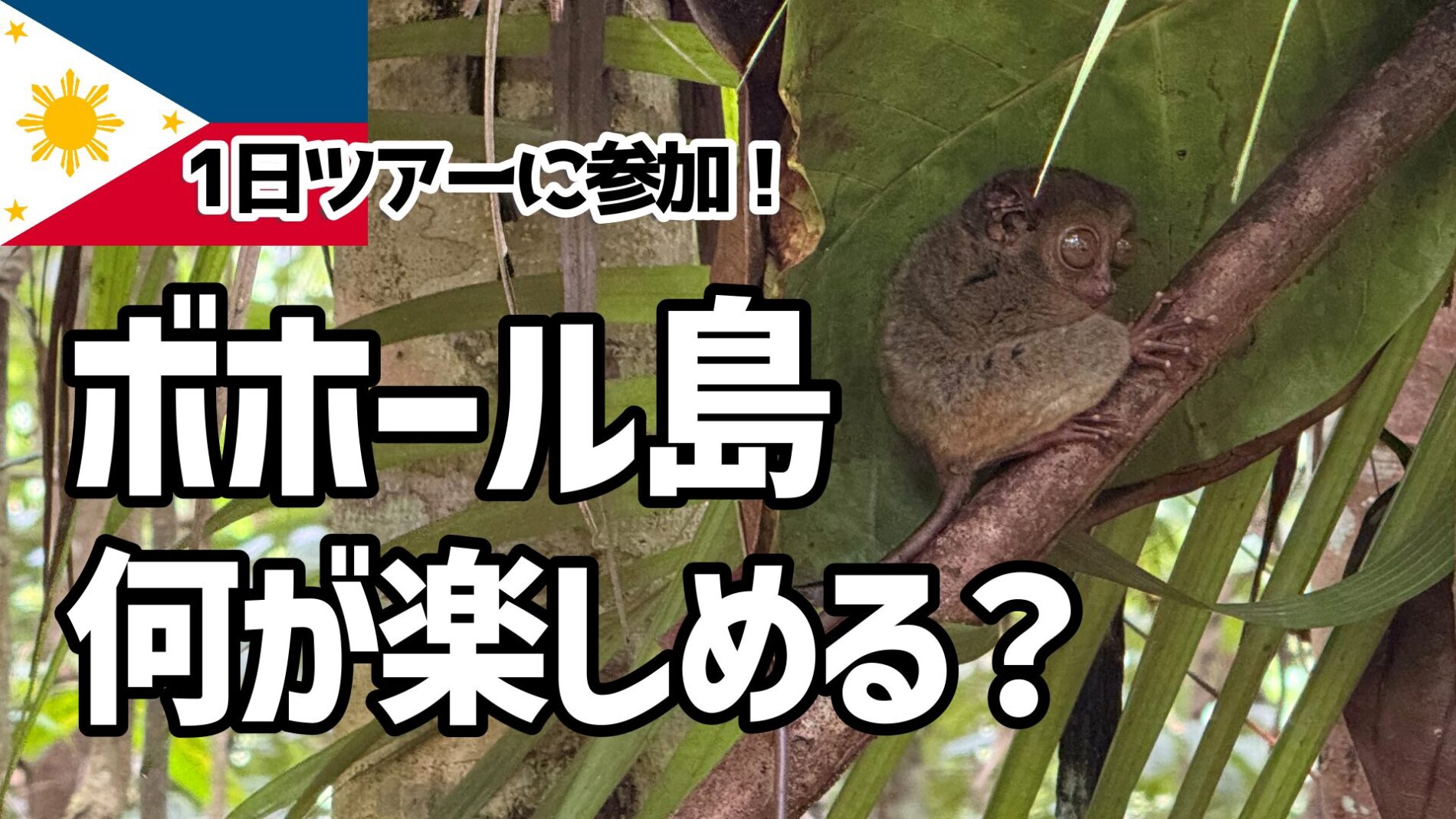 ボホール島観光地