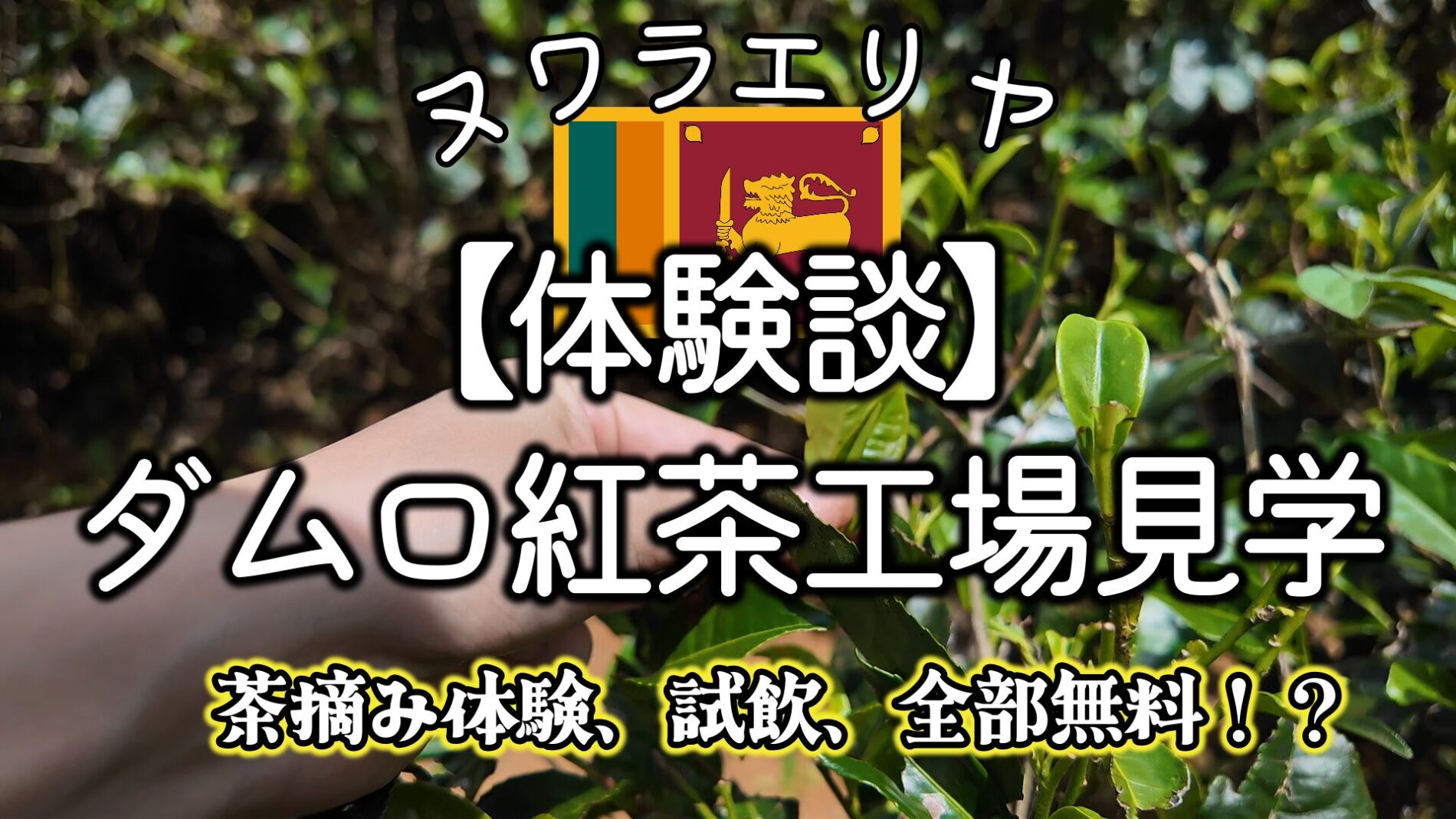 ヌワラエリヤ　紅茶工場見学おすすめ　口コミ