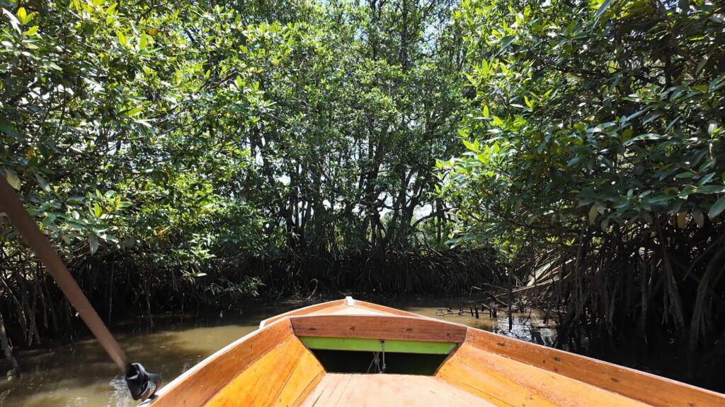 ブルネイ　マングローブツアー　