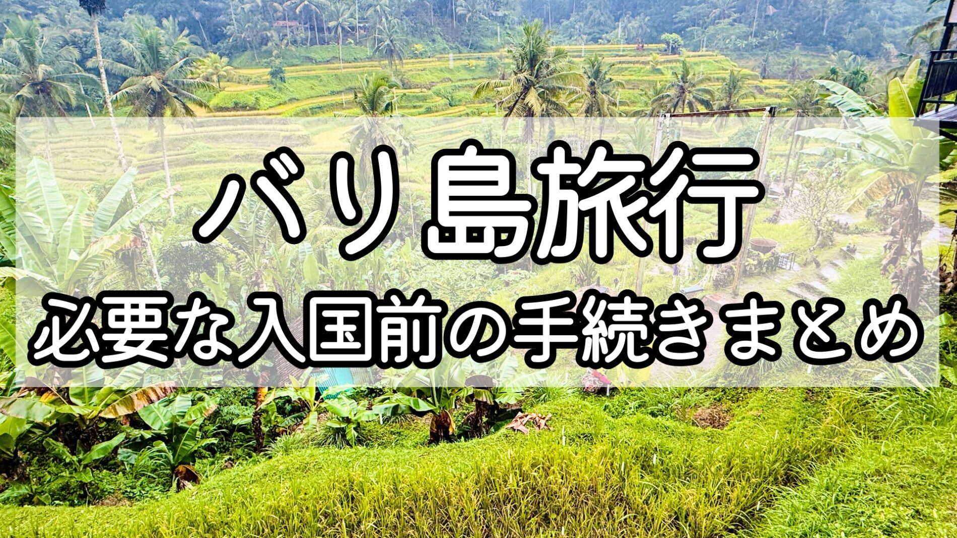 バリ島　観光　入国前準備　ビザ
