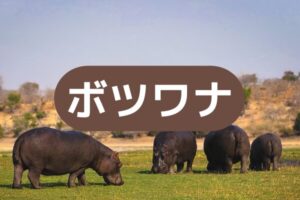 ボツワナ