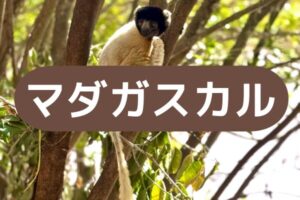 マダガスカル