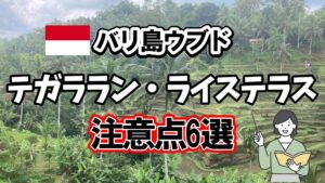 テガララン・ライステラス注意点