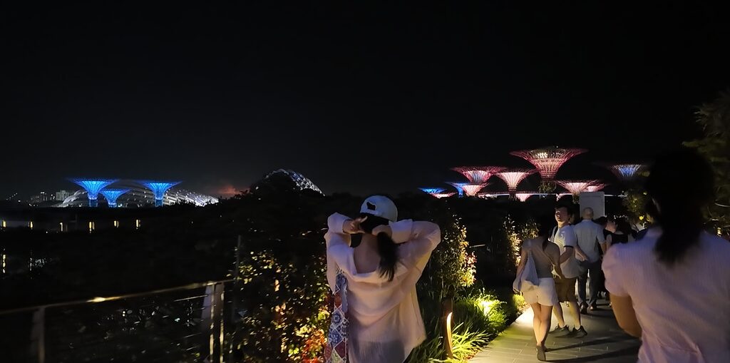 スーパーツリーの夜景